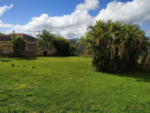Imagen 6 de 7 de Terreno En Venta Los Guayabitos 1250m2