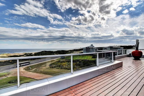 Aguas Azules Punta Del Este  Alquiler  Apartamento