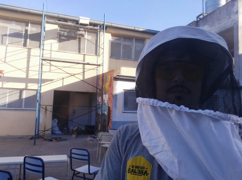Imagen 1 de 3 de Retiramos Abejas