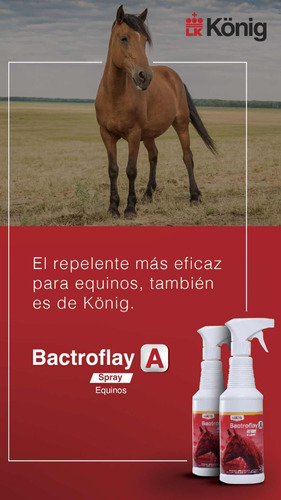 Bactrofly A Spry Equinos