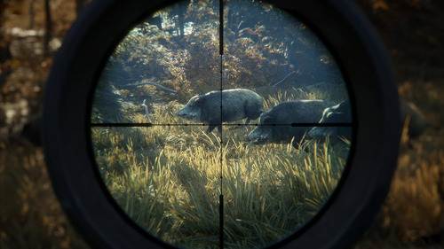 Thehunter: Call Of The Wild, Para Xbox One, Formato Físico