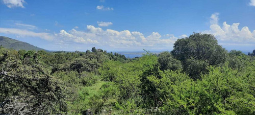 Imagen 10 de 14 de Oportunidad!espectacular Frac. 4.1 Ha. Ideal Turistico!! 486