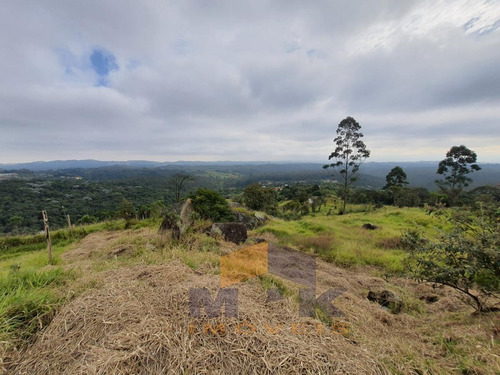 Imagem 4 de 9 de Terreno Para Venda Em Suzano, Parque Residencial Samambaia - 880_1-1656718