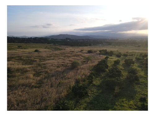 Imagen 5 de 24 de Granja En Venta Yaritagua 12 Hectareas Cod. 23-17577