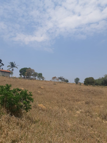 Imagem 10 de 14 de O05- Lotes Para Você E Sua Família Viver Bem