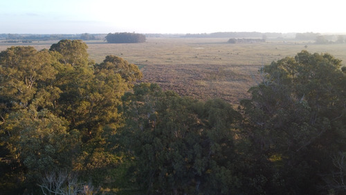 Imagen 4 de 4 de Campo En Venta En Verónica 5.28 Hectáreas