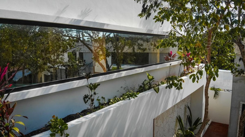 Imagen 8 de 24 de Casa 3 Recámaras En Venta Con Jardín Y Alberca Privada En Tulum (515)