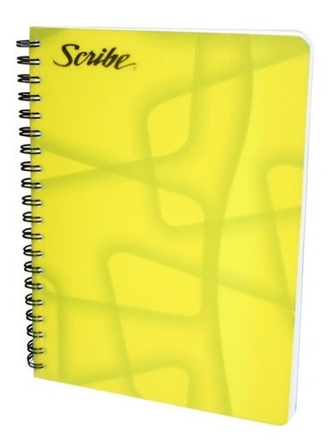 Cuaderno Profesional Raya Scribe Con Espiral 5 Pzs