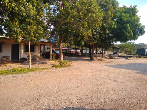 Imagen 19 de 26 de Finca En Apartadero - Cojedes