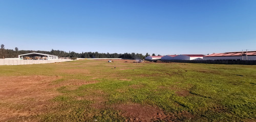 Imagen 2 de 7 de Se Arrienda Terrenos Industriales Desde 5.000 M2 Y Bodegaje