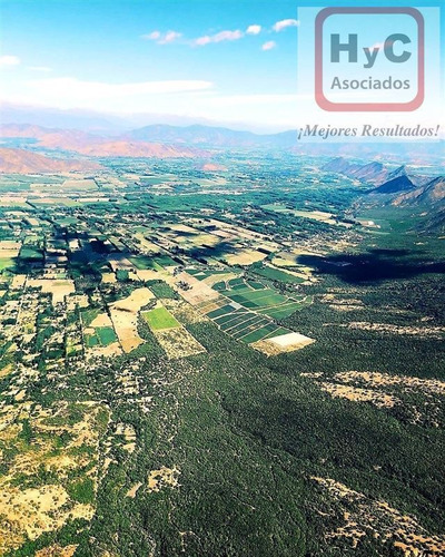Imagen 5 de 21 de Venta Terreno 7500 M2 Con Bosque, En Idahue ¡mejor Precio!