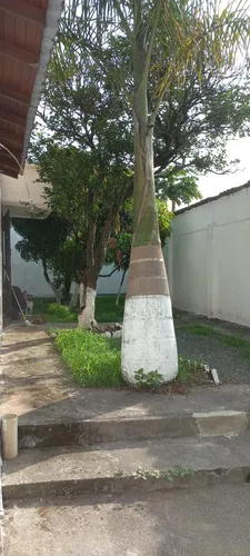 Local Santa Isabel De Hungria