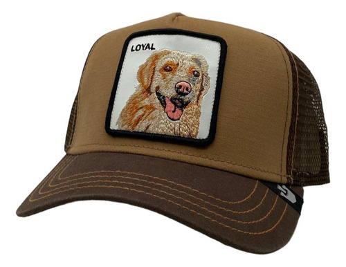 Gorra Goorin Bros Loyal 100% Original