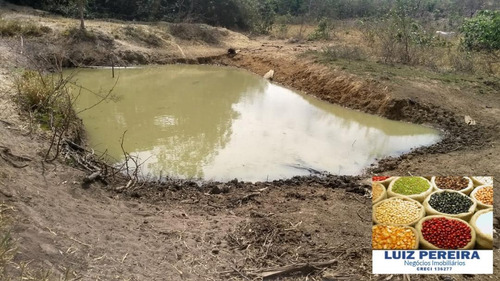 Fazenda À Venda Em Gurupi - To - De 20 Alqueirões (pecuária) - 1494