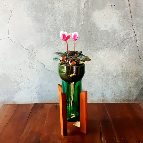 Violeta Little Plant 24 Con Soporte Maceta Autorregante