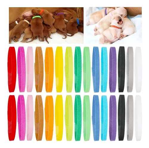 comprar 30 Collares De Parto Para Cachorros Collares Para Mascotas R