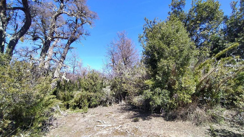 Imagen 30 de 30 de Susana Aravena Propiedades-lote En Venta En Vallescondido