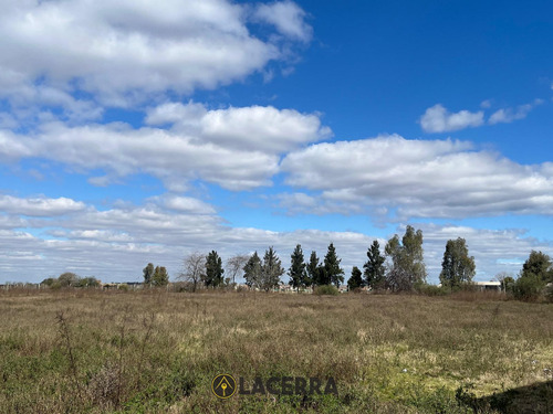 Lote En Venta O Alquiler ,ubicacion Estrategica Km 25 De Panamericana!! A Solo 24 Minutos De Capital. Consultar Precio