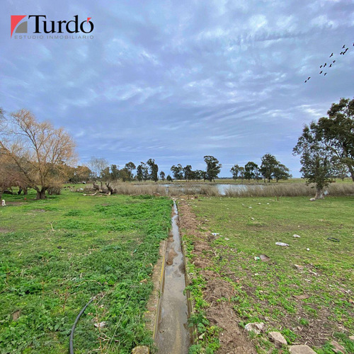 Venta De Terreno En Comandante Nicanor Otamendi