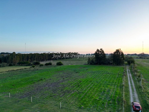 En Venta Chacra De 1 Ha Por Ruta 21, Colonia Del Sacramento