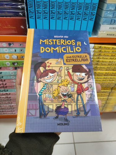 Libro Misterios A Domicilio - Begoña Oro