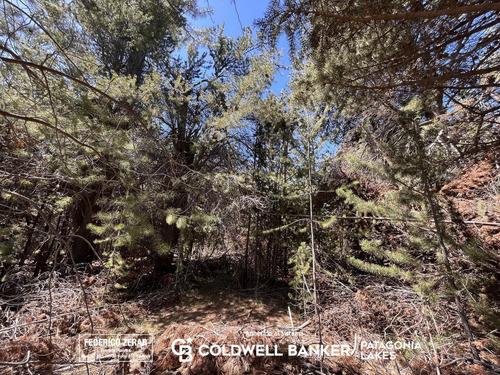 Venta Terreno Plano Con Servicios En Barrio Privado