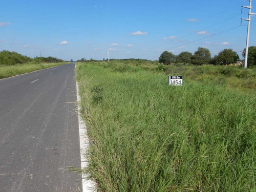 Imagen 7 de 8 de Campo En Formosa Argentina Agricola Ganadero Desmonte