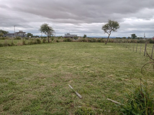 3 Lotes Todos Juntos O Por Separado