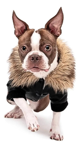 Chaqueta Para Perros, Abrigos De Invierno, Chaquetas Cálidas