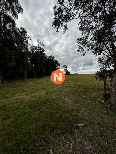 Venta De Lote En Las Garzas Punta Del Este
