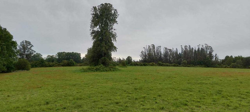 Campo En Venta Inversionista Pitrufquen (104143)