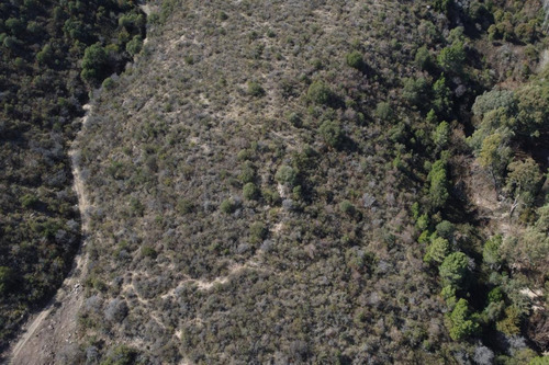 Imagen 17 de 17 de Terreno - Cortaderas