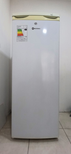 Freezer Vertical Mademsa Mfv-545b 165 L Frío Directo (Usado)