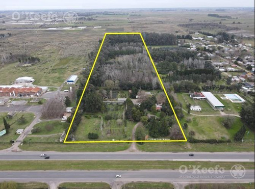 Chacra En Venta 8,5 Has Brandsen Sobre Ruta 2 - Ideal Proyecto Inmobiliario
