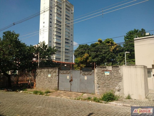 Imagem 1 de 10 de Lote À Venda, Vila Milton, Guarulhos - Te0127. - Ai3665