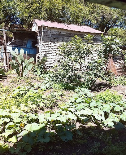 Imagen 11 de 15 de Campo Calmayo