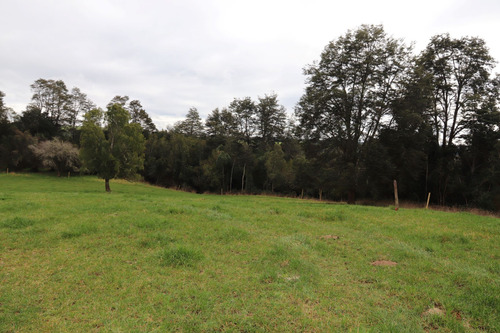Precioso Terreno A Orillas Del Río Maullín