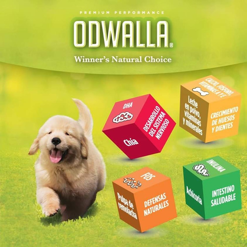 Por cierto Gallina Mucho Odwalla Cachorro 22 Kgs. Alimento Perro Con Despacho* Tm | Cuotas sin interés Por cierto Gallina Mucho Odwalla Cachorro 22 Kgs. Alimento Perro Con Despacho* Tm | Cuotas sin interés