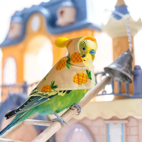  - ×TFC コラボ PASSAREDO PARROT ジャケット XL Roupa De Pássaro Quente De Inverno Terno Quente De Pássaro P