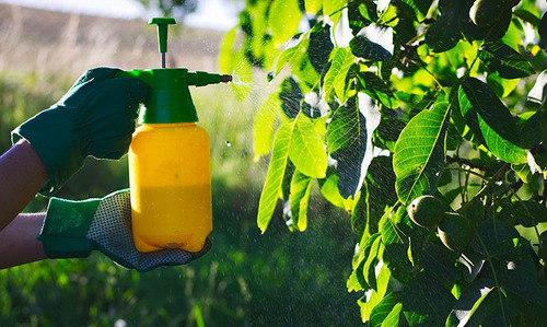 Jardinería Integral A Domicilio Y Empresarial