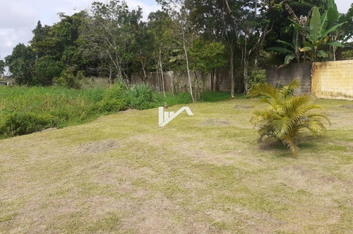 Imagem 22 de 23 de Chácara Com Piscina Aceita 50% De Entrada E Parcelas Ch126 R