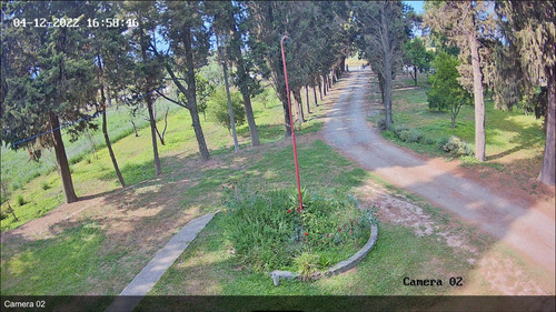 Campo Con Casa-galpones-riego-plantacion Trufas-corrales-maquinaria-muebles-oportunidad Única Para Invertir! Venta A Tranquera Cerrada.