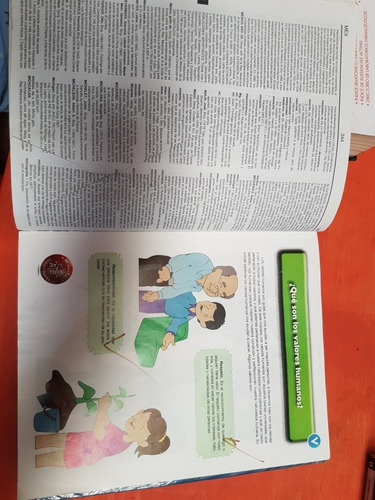 Enciclopedia De Educacion Basica Y Normal De Tabasco (Usado)