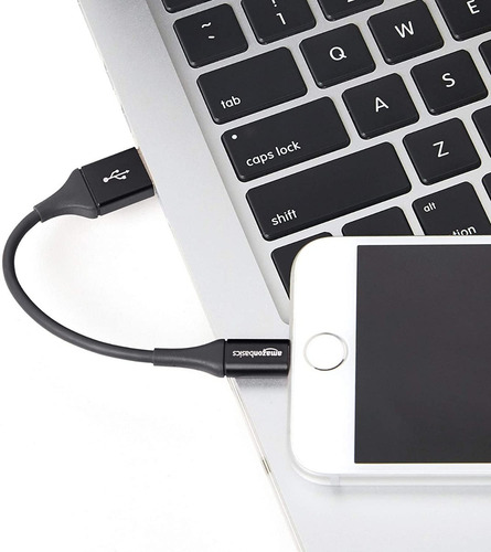 Cable - Amazon Lightning A Usb - iPhone iPad Apple Mfi 10cm