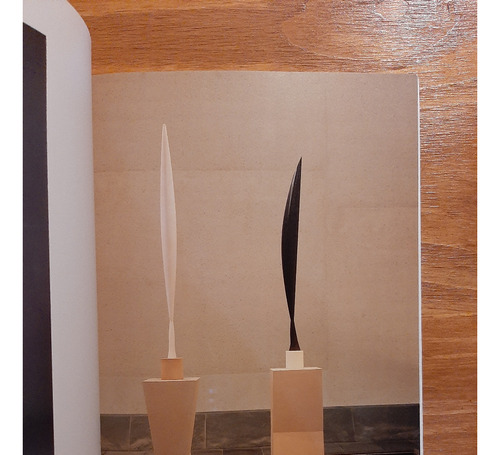 Constantin Brancusi. Eric Shanes. Abbeville Modern Masters (Usado)