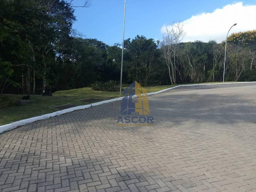 Imagem 7 de 16 de Terreno À Venda, 525 M² - Itacorubi - Florianópolis/sc - Te0187