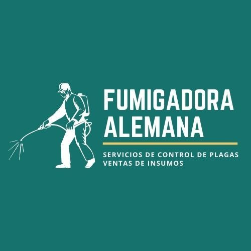 Imagen 4 de 4 de Palita Estrecha Metálica Jardín Tramontina Mango De Madera
