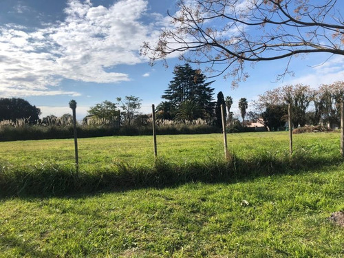 Imagen 3 de 3 de Terreno En Venta En Lobos