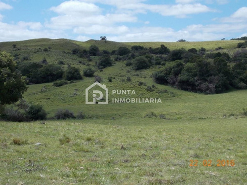 Imagen 20 de 30 de Venta Chacra 96has En Minas, Lavalleja
