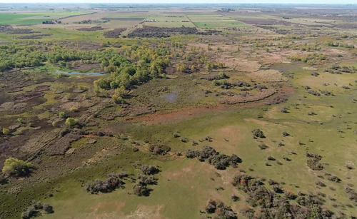 Campo - Costa Del Uruguay